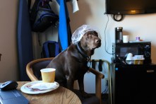 Breakfast and a Shower