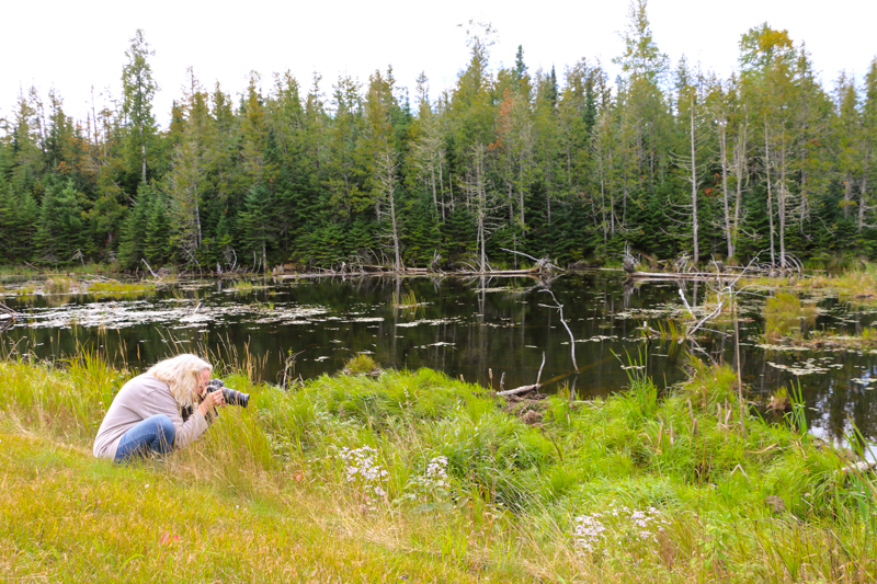 Day 11 of 28 By Tom USA Through Our Eyes